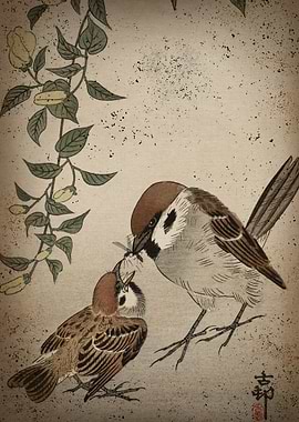 Japanese birds