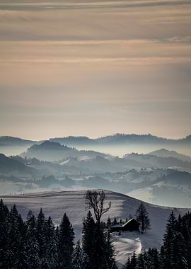 Mystical Hazy Mountains