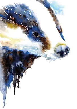 Badger in Blue adn Brown