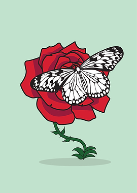 Butterfly rose