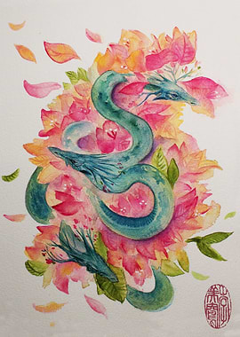 Dragons Bougainvillea