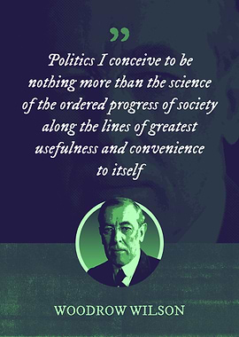 Politics I conceive to be