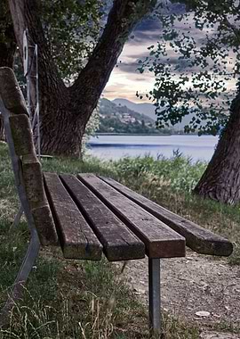 bench on the lake