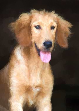 cute dog in the meadow