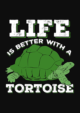 Tortoise Animal Design