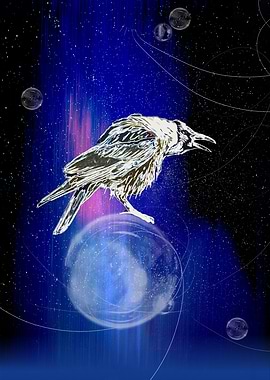 The crow and the universe