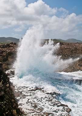 Coral Rock Meets Waves 2