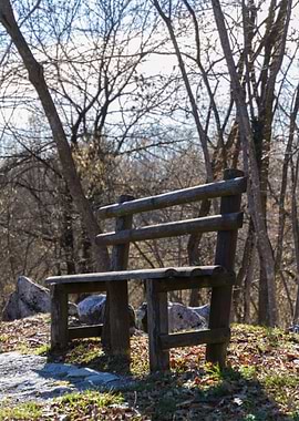 bench on the lake