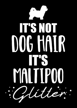 Maltipoo