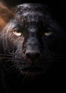 angry black panther face
