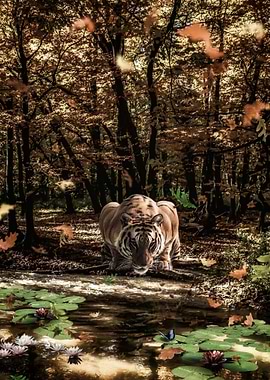 Beauty looking each other