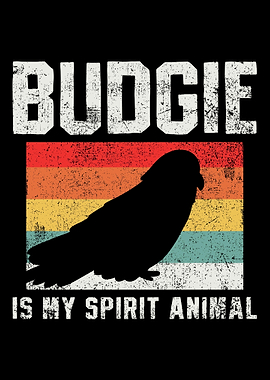 Budgie Budgerigar Parakeet