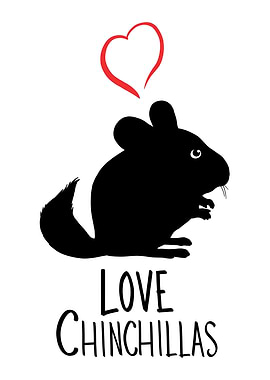 Love Chinchillas