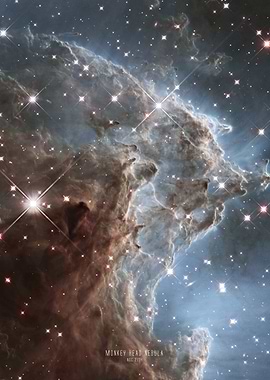 Monkey Head Nebula