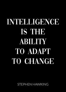 Stephen Hawking Quote