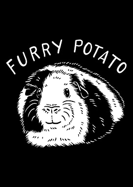 Guinea Pig Furry Potato