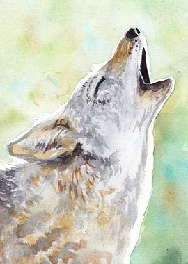 Coyote Watercolor