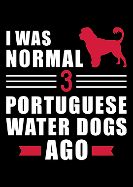 Portuguese Water Dog