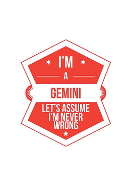 Im a Gemini Lets Assume