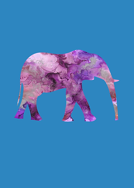 Elephant Funny Animals