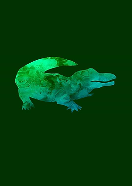Crocodile Funny Animals