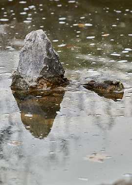 reflection of rock on wate