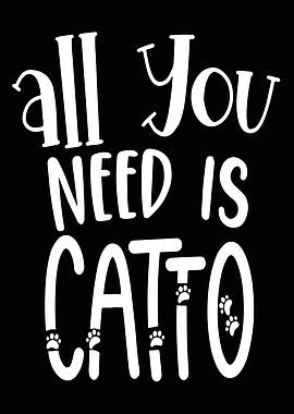 All you Need is Catto