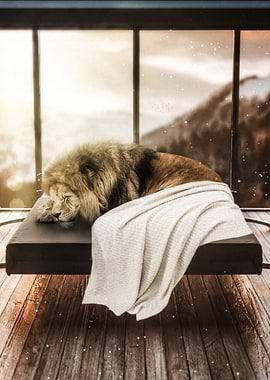 Lion taking a nap on sofa