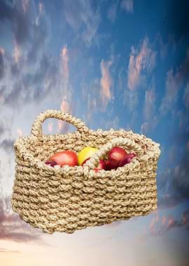 fruit and vegetables