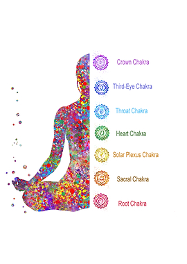 The Seven Chakras