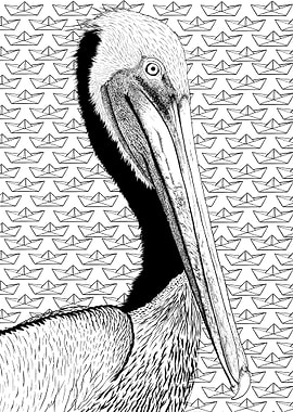 Dexter the model pelican