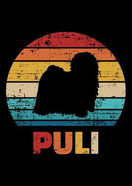 Puli
