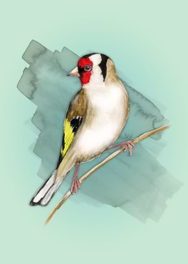 Goldfinch watercolor