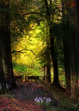 trees of the park avenue