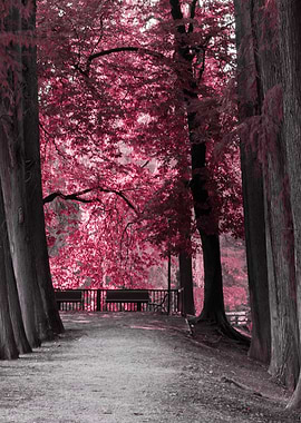 trees of the park avenue