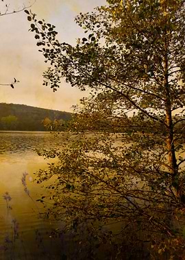 Fall sunset by the lake