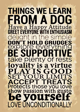 Things We Learn From a Dog