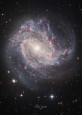 Spiral Galaxy M83