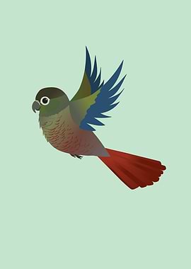 Flying Greencheeked conure