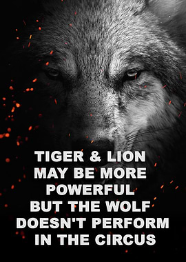 wild wolf face Motivation