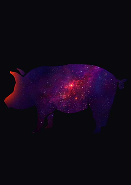 Pig