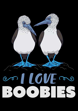 Blue Footed Booby Bird