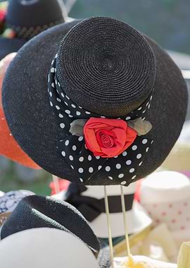 beautiful woman hat