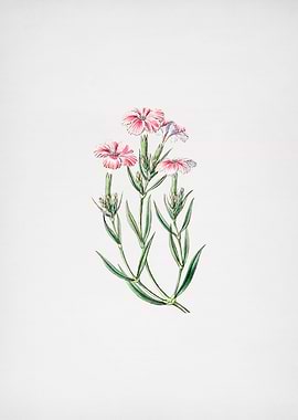 Vintage Tree Pink on Paper