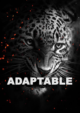 wild jaguar Motivation