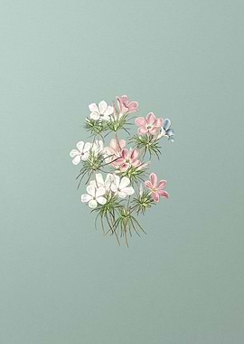 Thick Flower Slender Tube