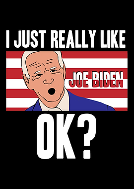 Joe Biden President USA