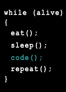 Programmer Coder