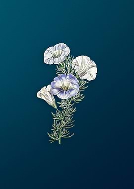 Sky Blue Alona Flower