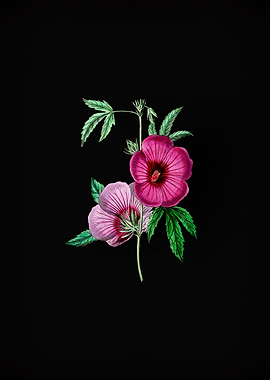 Vintage Hibiscus Flower